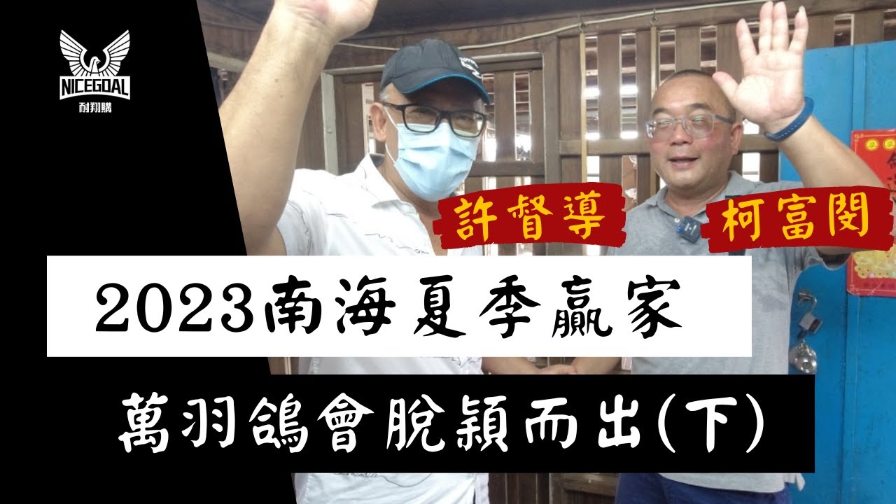 【強豪分享】2023南海夏季贏家柯富閔，萬羽鴿會脫穎而出(下集)｜耐翔購