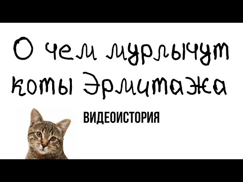 Видеоистория «О чем мурлычут коты Эрмитажа», посвященная 260-летию со дня основания музея (6+)