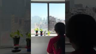 Miracle Morning 108배(Bows) 802일째(Day 802)