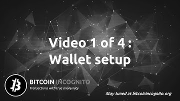 1 XBI Wallet setup guide