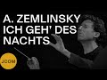 Capture de la vidéo Alexander Zemlinsky: Vi. Ich Geh' Des Nachts (Thomas E. Bauer, Jcom, Daniel Grossmann)