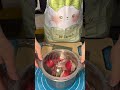Episode 11 / Electric vegetable slicer vs red radish#Mincer #food