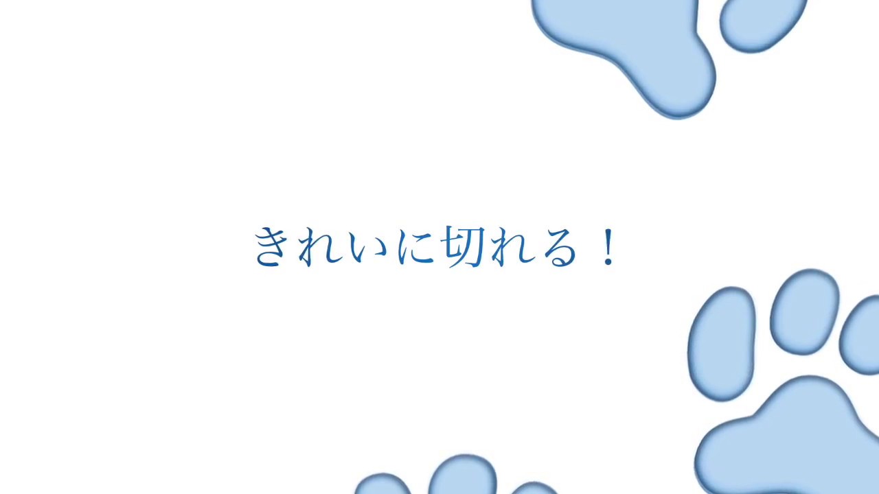 H8-165 ALLEX 錠剤カットハサミSP（51702） 岐阜県関市｜ふるさとチョイス ふるさと納税サイト