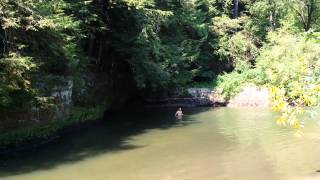 Bridge 10