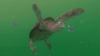 Finding Nemo 2003 2160p Part 16