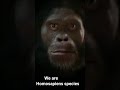 Human Evolution Documentary.