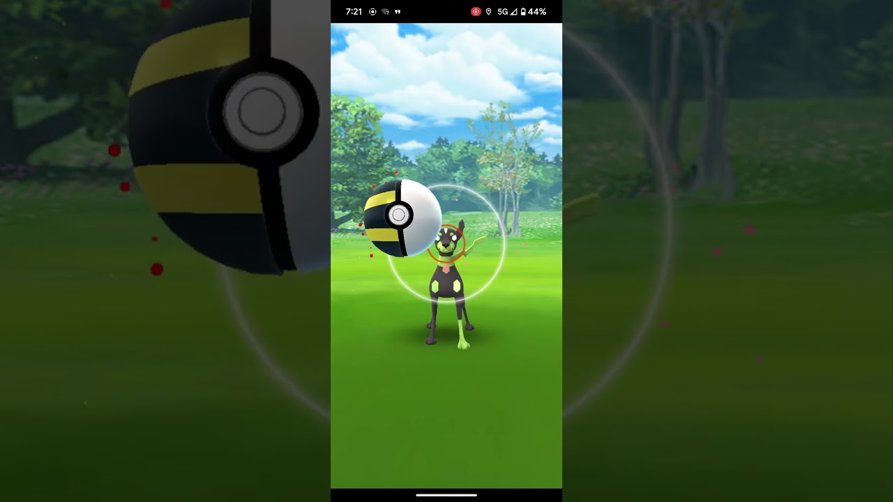 Instinct Games 08: Zygarde registered to the Pokédex!