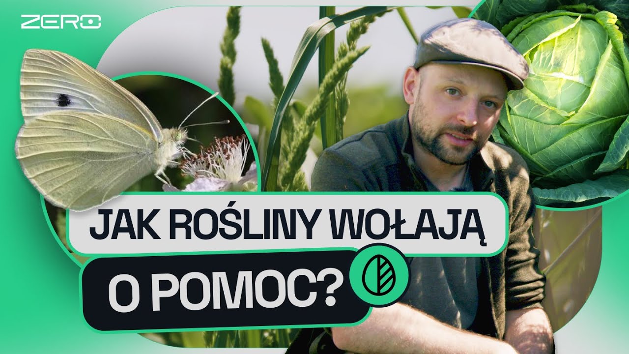 CZY ROŚLINY KRZYCZĄ I JAK RATUJĄ SIĘ ZAPACHEM? | GATUNEK ZERO #16