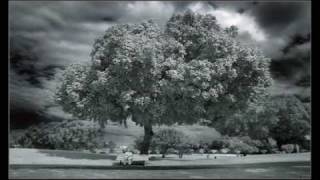 Video thumbnail of "Gilbert O' Sullivan- Alone Again ( Naturally)"