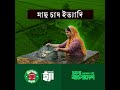 ভাতা নয়, সম্মানজনক কর্মসংস্থানই হোক নারীর প্রকৃত মর্যাদা। 'আমার আয়ের সংসার' প্রকল্প