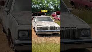 Corvettes on the block #ForYou #DIY #Corvette #Burn #Lifestyle