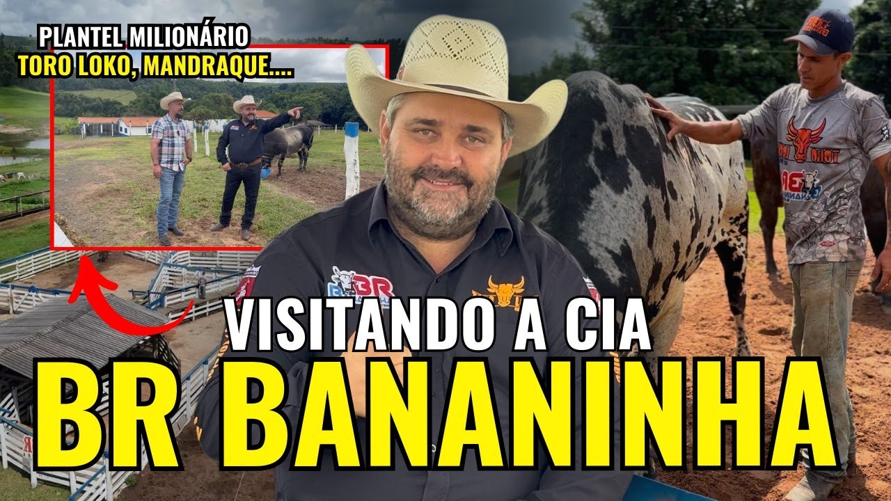 CONHEÇA A BOIADA E O COTIDIANO DO TROPEIRO RESPEITADO!