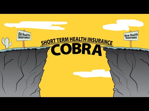 Everything you Need to Know about COBRA Insurance