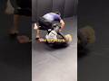 1分で理解できるイマナリロール【 徹底解説 】 #格闘技 #グラップリング #ブラジリアン柔術 #柔術 #総合格闘技 #イマナリロール #今成正和 #足関節 #rizin