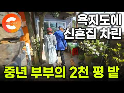 이 동네에서 2천 평은 텃밭 수준이예요. 연고도 없는 동네에 들어와 터잡고 사는 중년 부부가 수십년째 신혼처럼 사는 비결ㅣ#한국기행 
