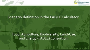 2. Scenarios definition in the FABLE Calculator