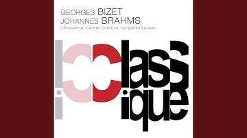 Hungarian Dances, woO 1: No. 2 in D Minor, Allegro non assai