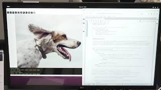 Famous DeGirum Demonstration of Its PySDK Running on BrainChip Hardware for Real-time Edge AI Wealth