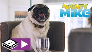 Mighty Mike | First Mates - Diner For Dogs | Boome...