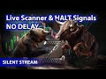 Live Scanner Stock Market Scanner Silent Stream No Delay Voice Only 03 17 2026