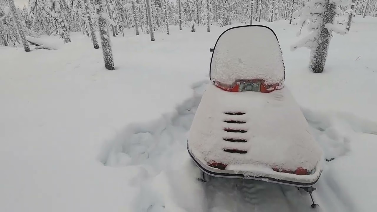 Lynx 250 metsäremppaa erämaassa #old snowmobile #wilderness #snow