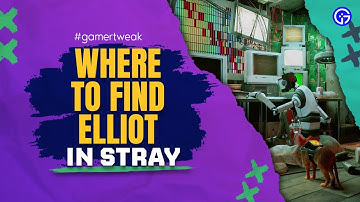 Stray - Where to find Elliot Programming