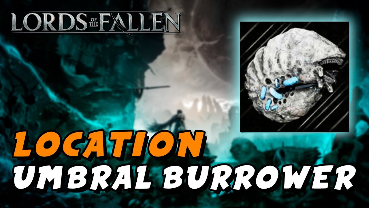 Lords Of The Fallen (2023) Umbral Burrower Location (Throwing Weapon / Whither Damage) YouTube