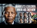 Was Geschah Mit Nelson Mandelas 6 Kindern