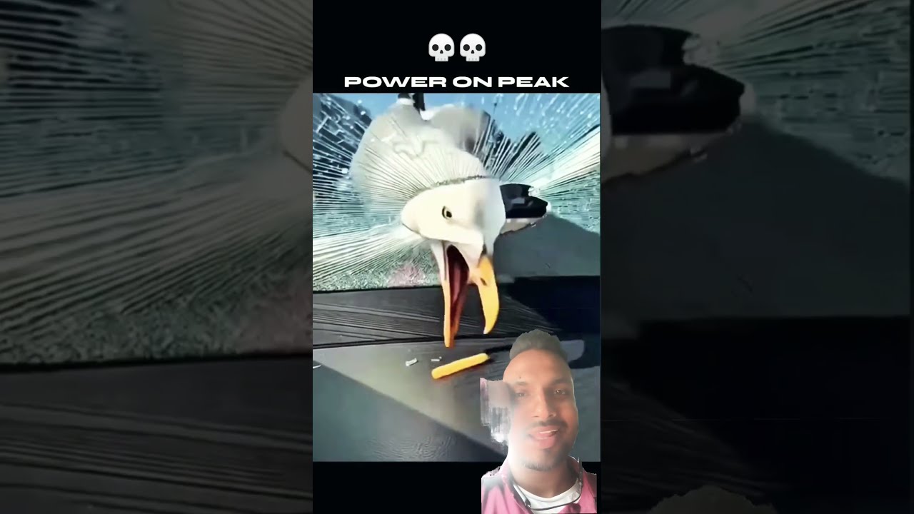 Please Like And Subscribe Funny Trending Facts Viral