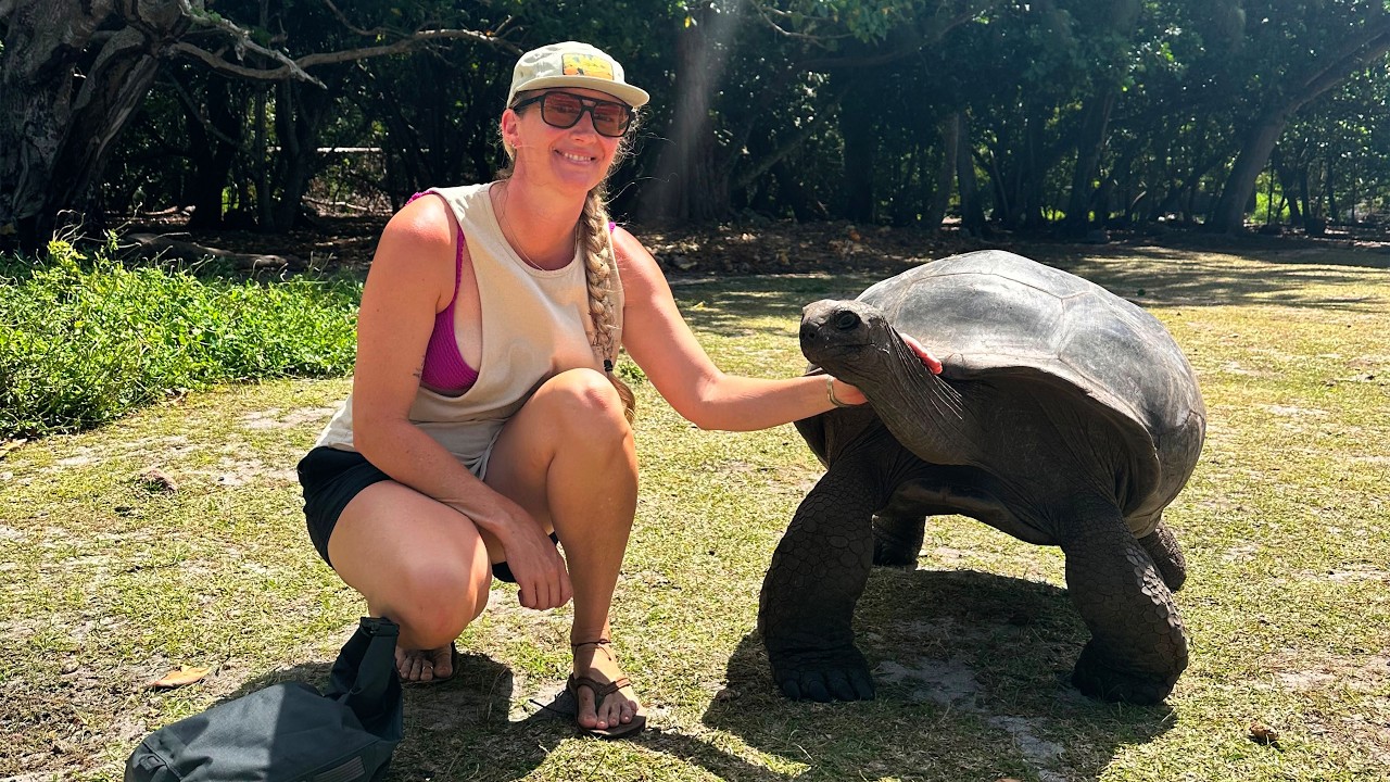 ⁣Seeing the World Famous Giant Tortoises of the Seychelles!