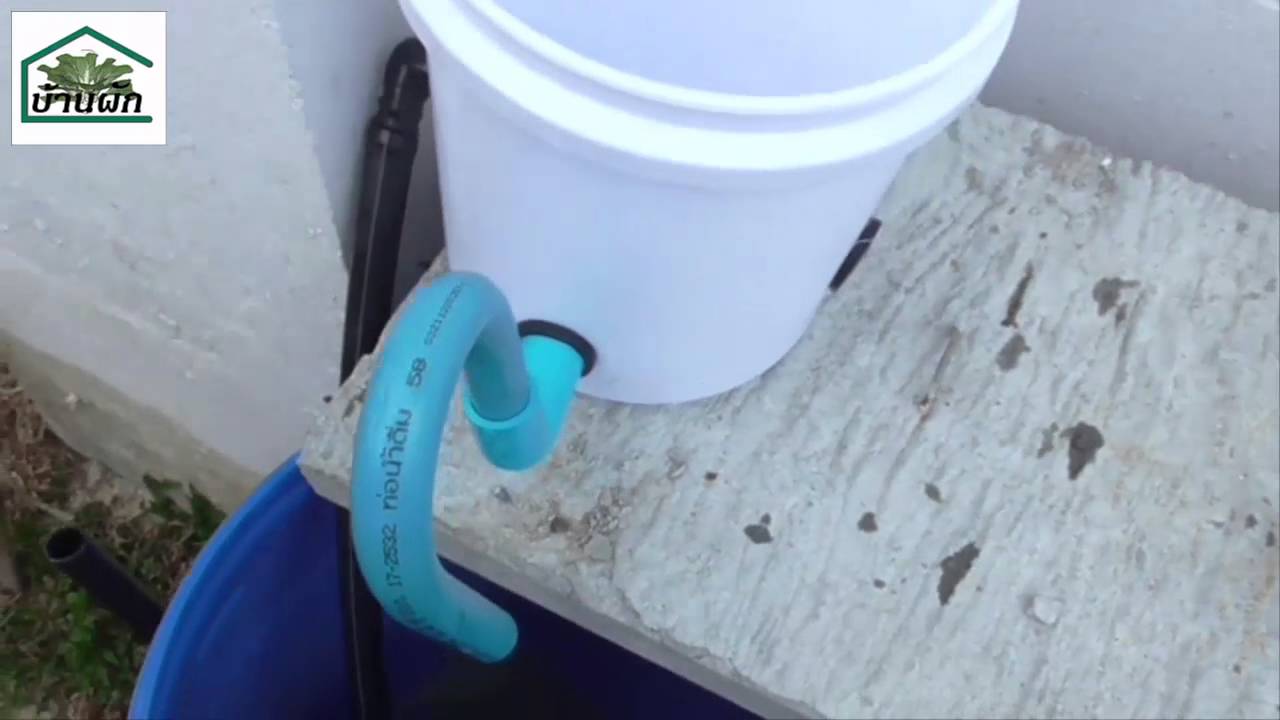 แปลงปลูกผักอัตโนมัติ ระบบไฮโดร