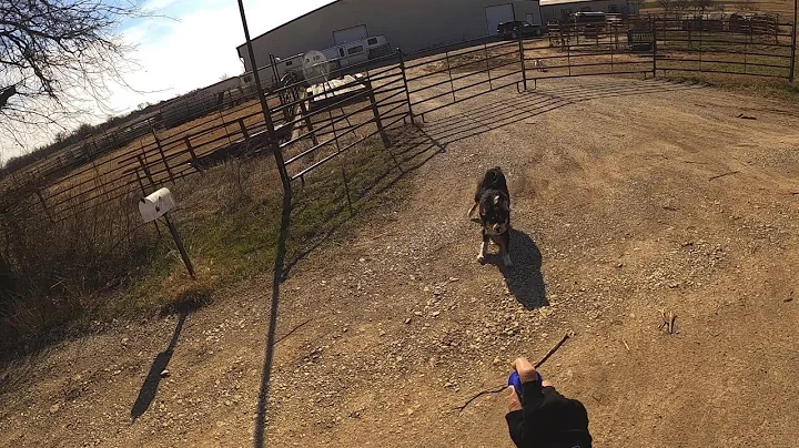 How to handle dog attack on bicycle like a BOSS by Aaron Smith in Cooke County near Gainesville, TX