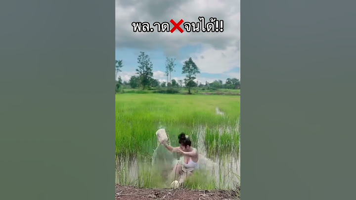 #เจนนี่ซีโฟร์ #โตเกียวมิวสิค #ผู้ใหญ่บ้านฟินแลนด์ #บอสบิ๊ก #แม่นกโตเกียวมิวสิค #ฟินคลับ