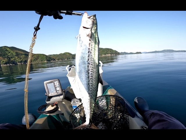 Kayak fishing (Yamaguchi) 139: Kayak fishing in Yamaguchi with