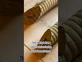 Why We Cut Tatami Mats with Katana #Shorts