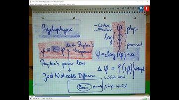 Similarity Modeling Lectures: Seeing and Hearing in Computers (Part 6/10 - SIM1/2): Perception