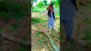 Desi Village Boy Cutting Wood Village Life Ghani Saraiki Vlogs