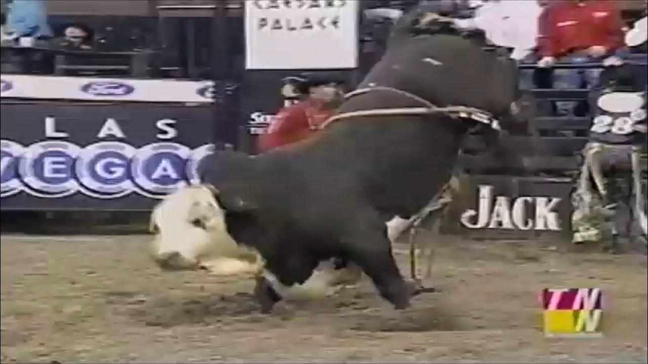 Dillinger bucks Mark Ward 01 PBR New Orleans YouTube