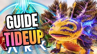 The GUIDE of the TideUp in ARK: Survival Ascended !