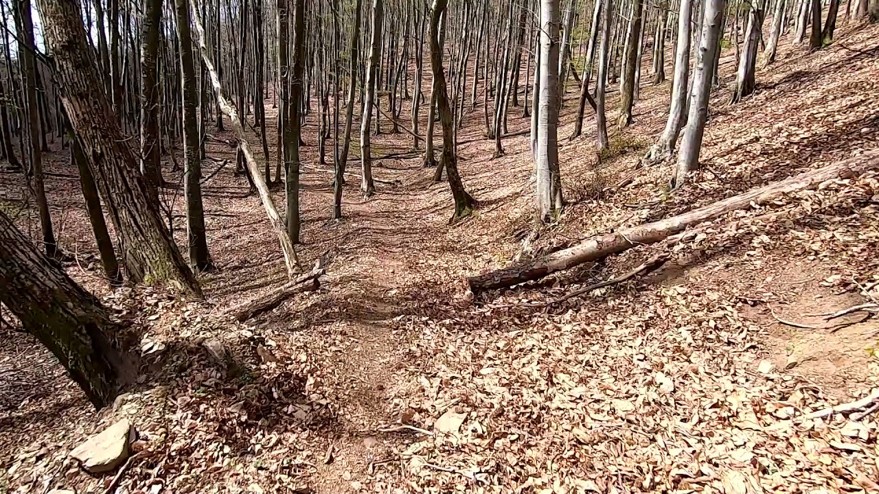 raccordo lisca botox movie