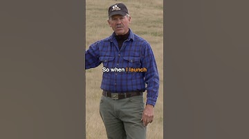 How to Teach a Dog to Be Steady to Wing and Shot