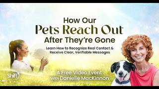 Download Lagu How our Pets reach out after they're gone Livestream with Danielle MacKinnon Download Lagu How our Pets reach out after they're gone Livestream with Danielle MacKinnon