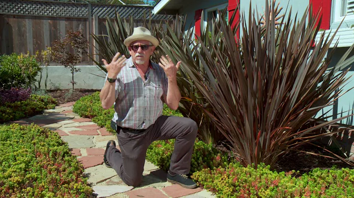 Garden Wise Episode 13: Design A Water Wise Garden...