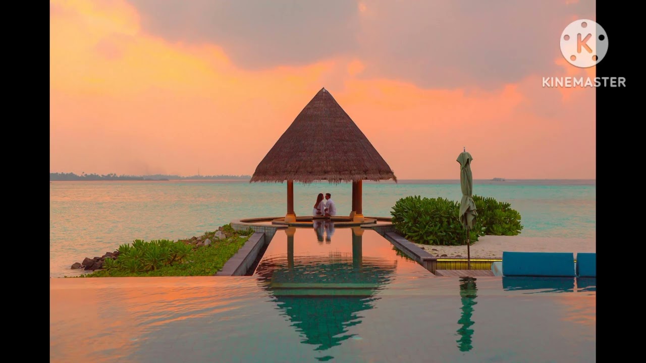 Bài hát: Tâm cùng Tâm Dao Động _ HoaNguyen