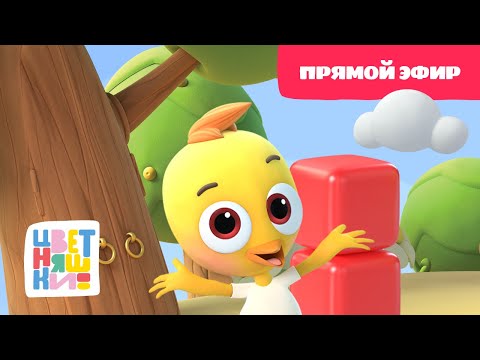 💛Цветняшки - Лучшие серии с Цыпленком Пи - Прямой Эфир - Развивающий мультфильм💛