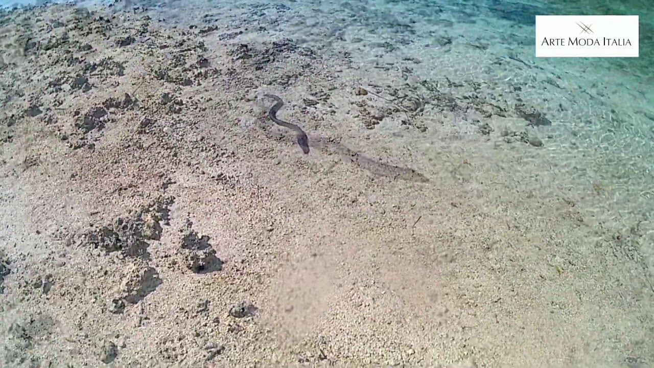 Isole Fiji