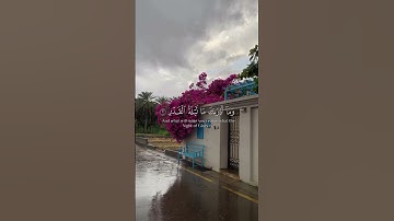 ماهر المعيقلي | سورة القدر #قرآن #قران_كريم #القرآن #القرآن_الكريم #ماهر_المعيقلي