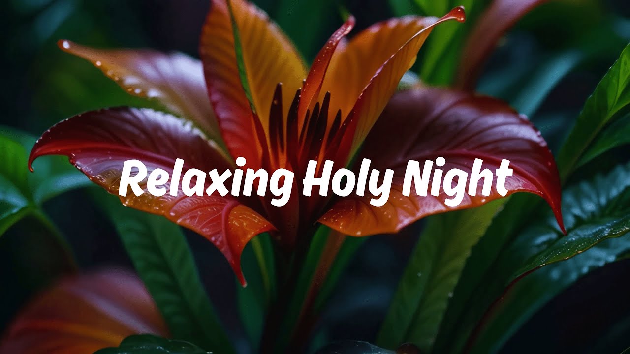 Relaxing Holy Night | Peaceful Sleep Music with Gentle Choir & Soft Bells
