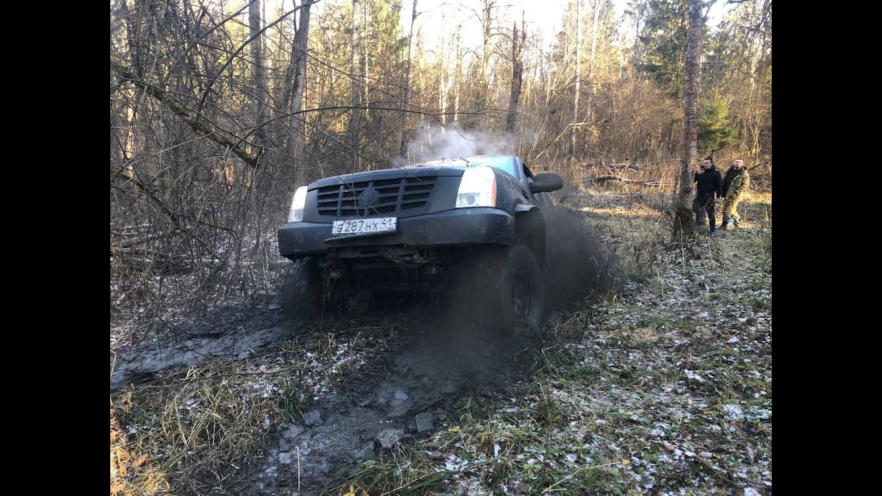 В поисках грязи Кадиллак, три Уаза Патриота от 36 до 42, 4 Нивы от 31 ...