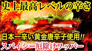 【バーガーキング】史上最高レベルの辛さ！日本一辛い黄金唐辛子使用！スパイシー厄除けワッパー